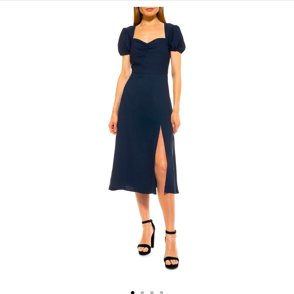 NWT Alexia Admor-  Gracie A-Line Dress